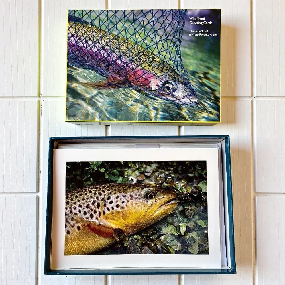 WILD TROUT Stationery Note Greeting Cards Blank 12 Cards + Envelopes Box
